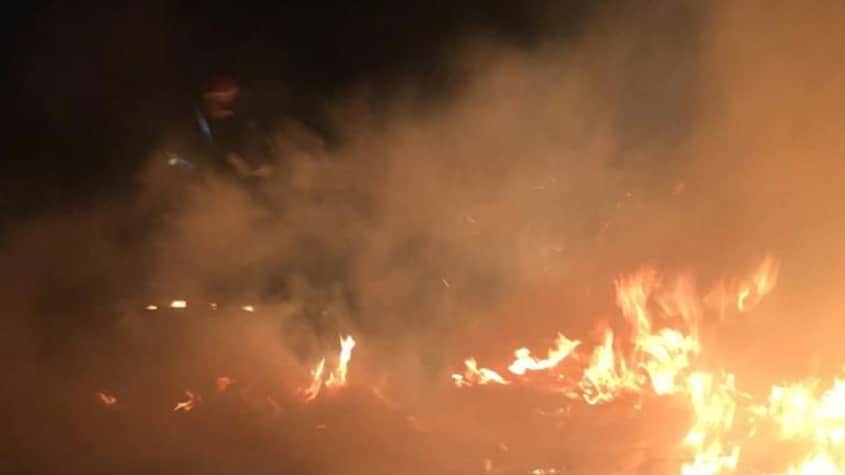 Incendii în trei localități din Delta Dunării
