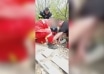 Turistă accidentată în Munții Măcin