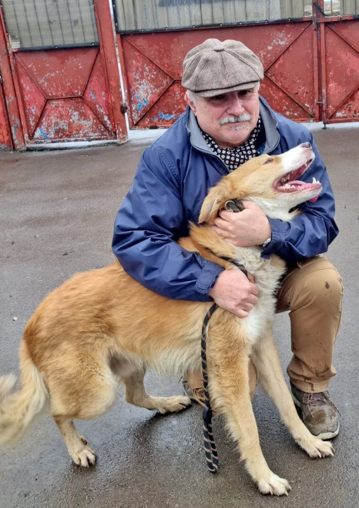 Încă o poveste cu final fericit la Adăpostul public de animale abandonate, din Constanța