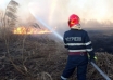 Dezastru în Deltă. Au ars 460 de hectare de teren