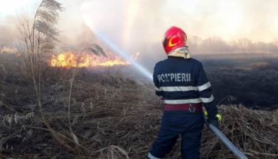 Dezastru în Deltă. Au ars 460 de hectare de teren